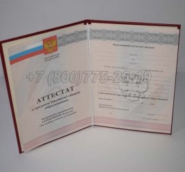 Аттестат За 11 Класс 2011г Серебро в Ростове-на-Дону