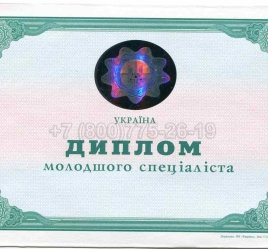 Диплом Техникума Украины 2009г в Ростове-на-Дону